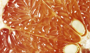 Ayurveda for Modern Life  How Herbal Powders Are Transforming Daily Wellness in 2025