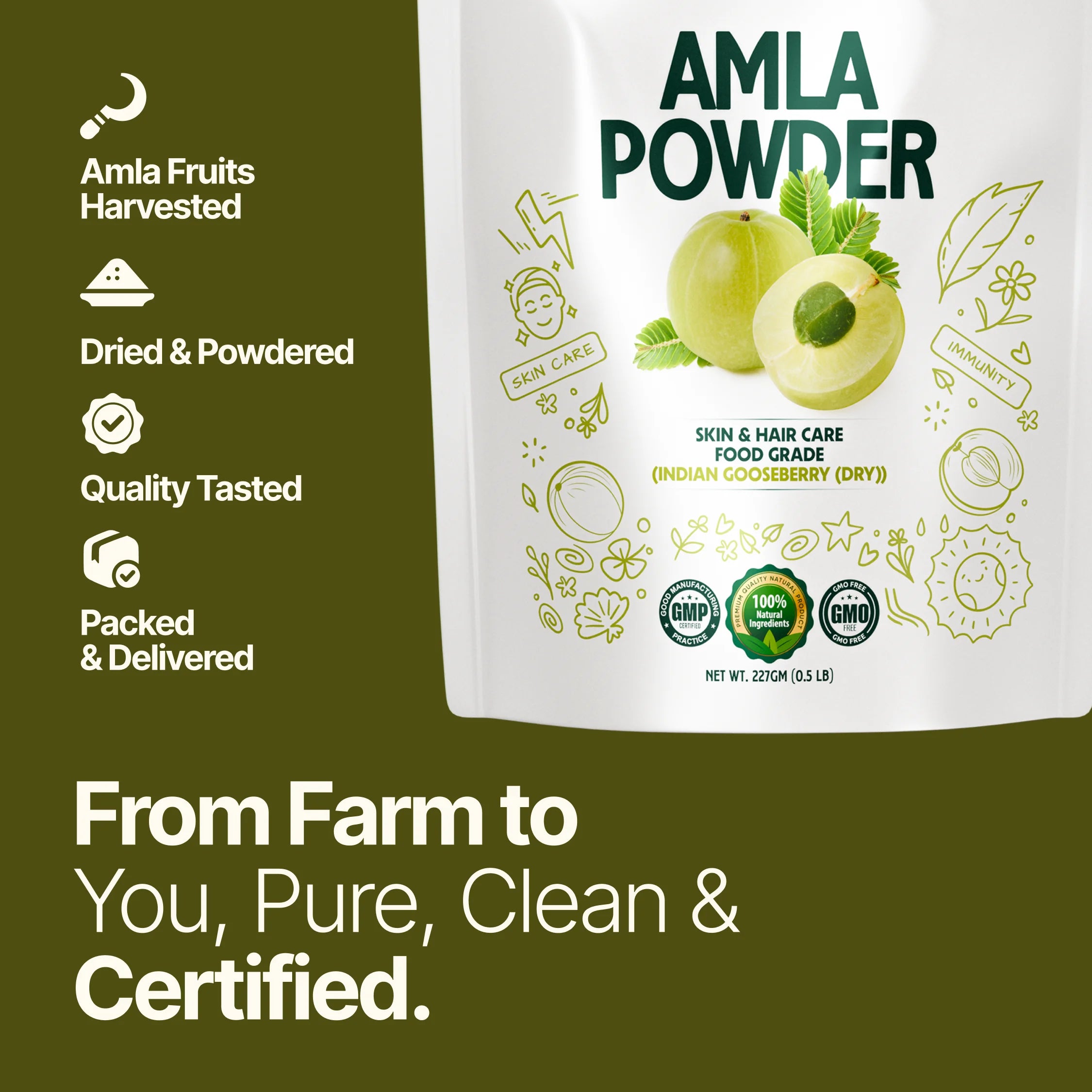 Amla Powder