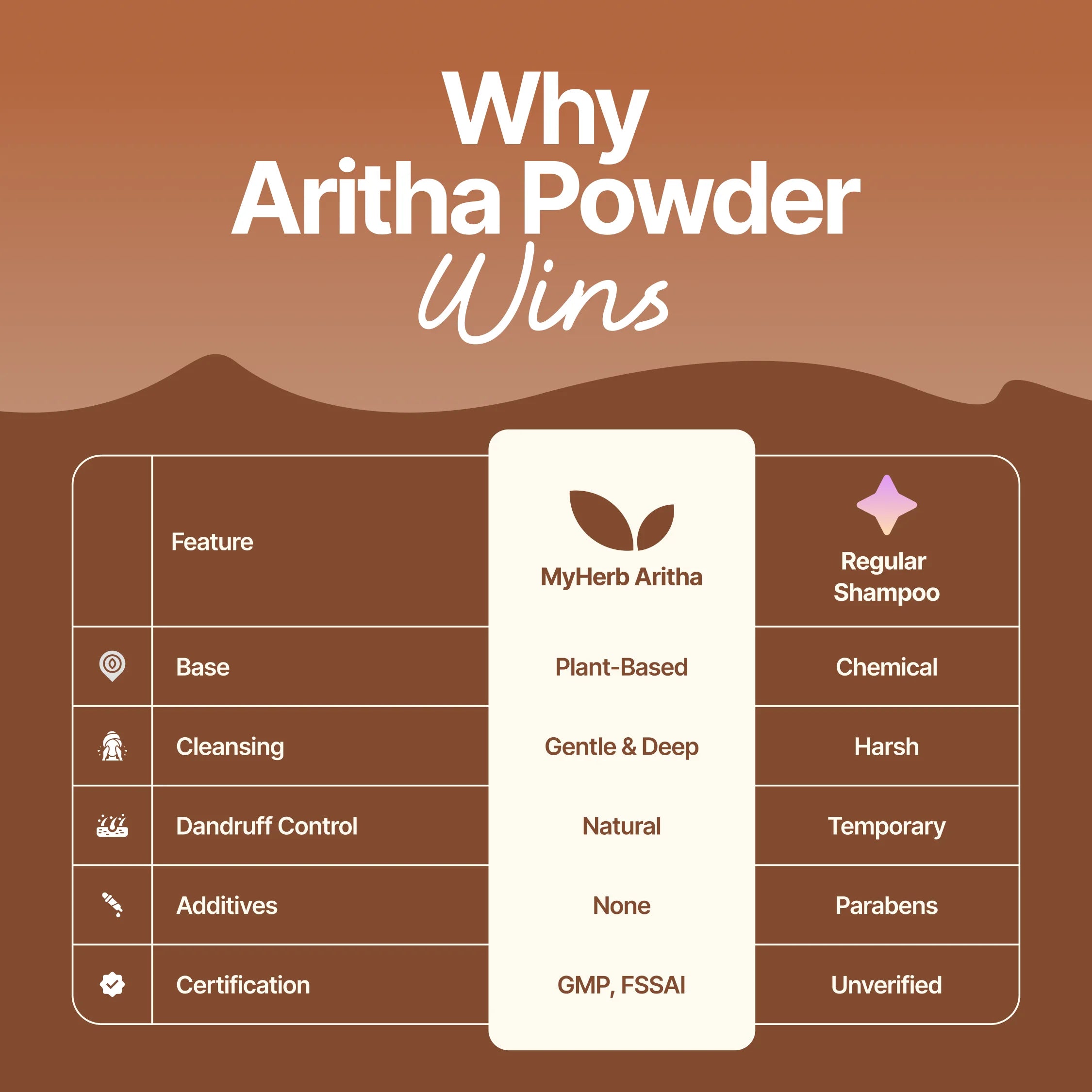 Reetha Aritha Powder
