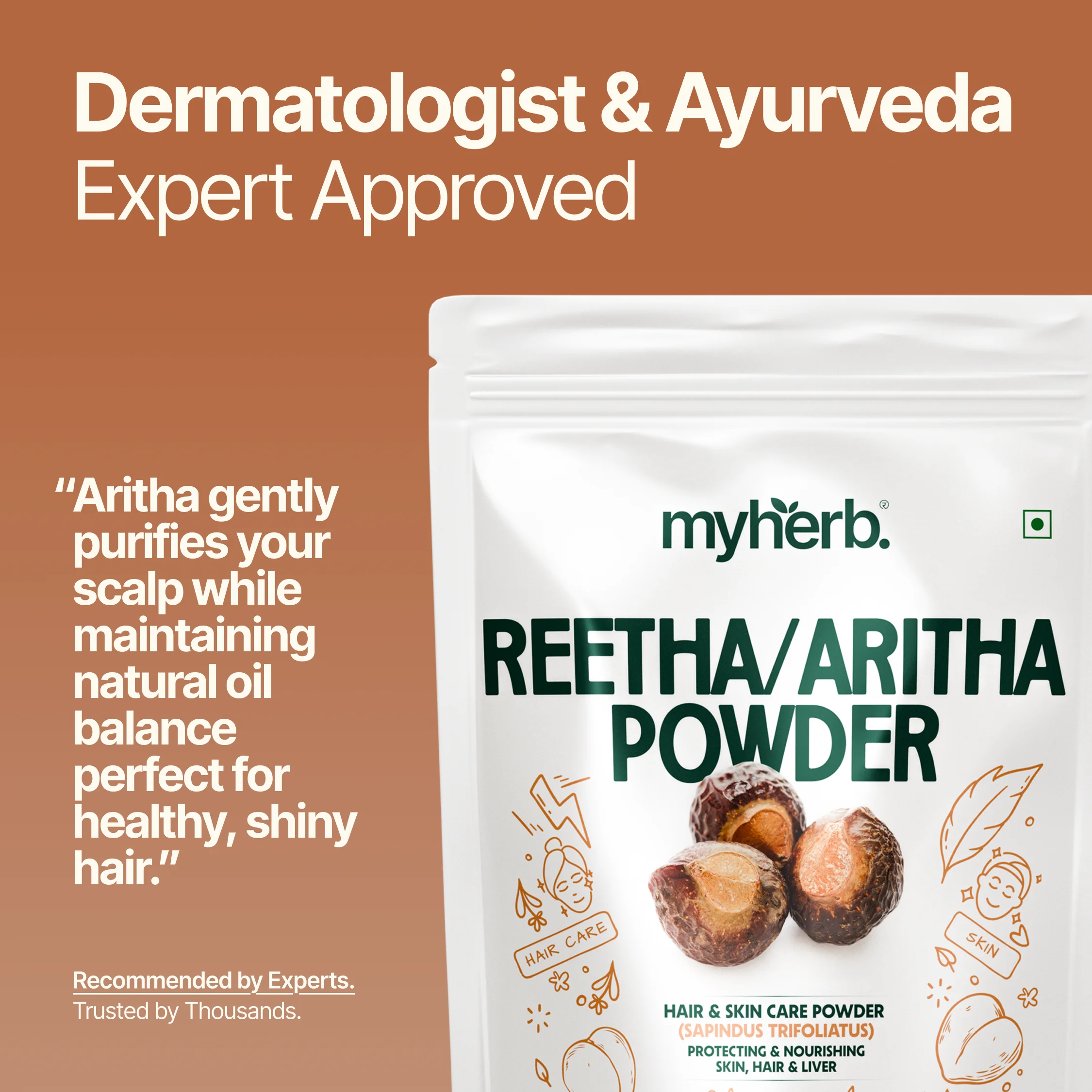 Reetha Aritha Powder