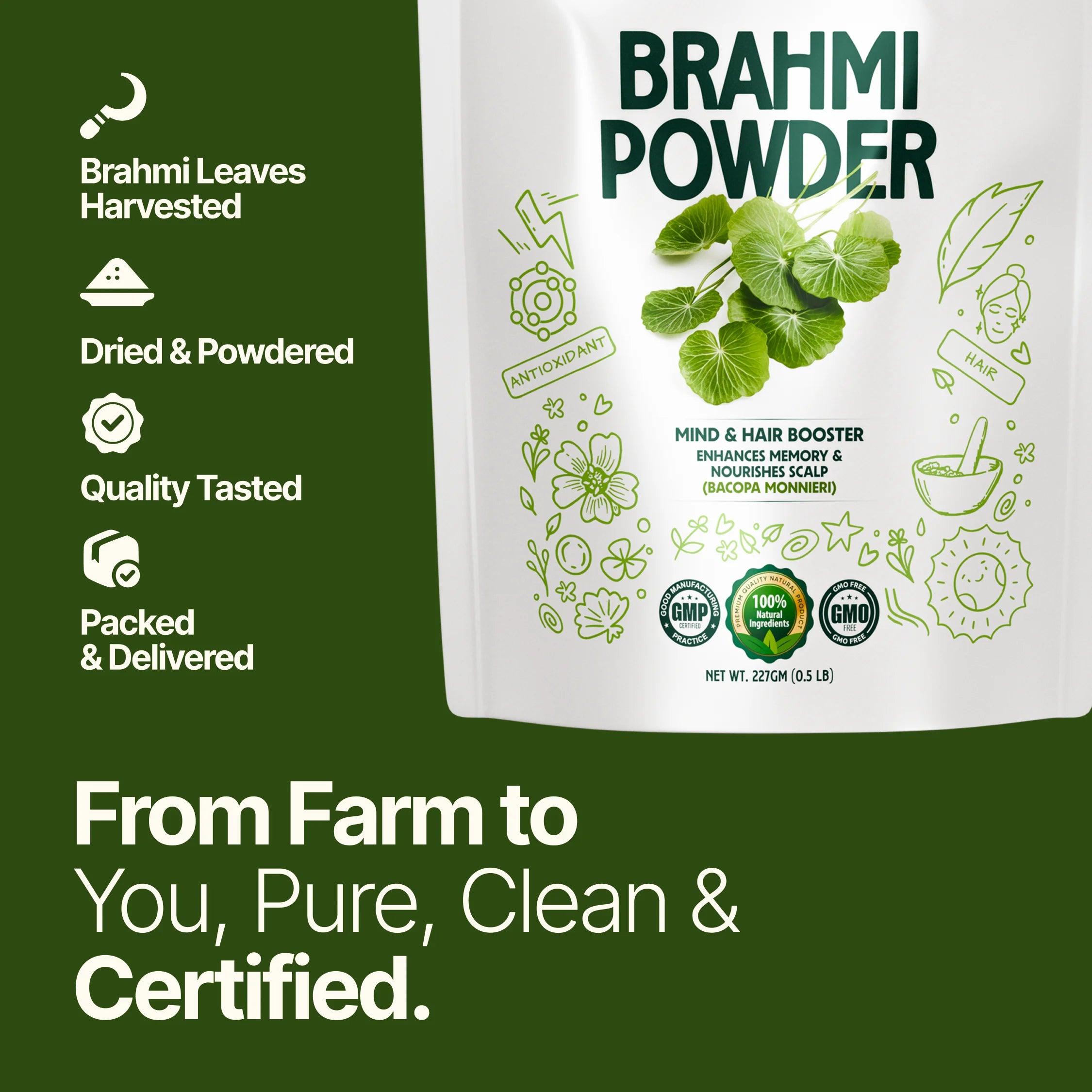 Brahmi Powder