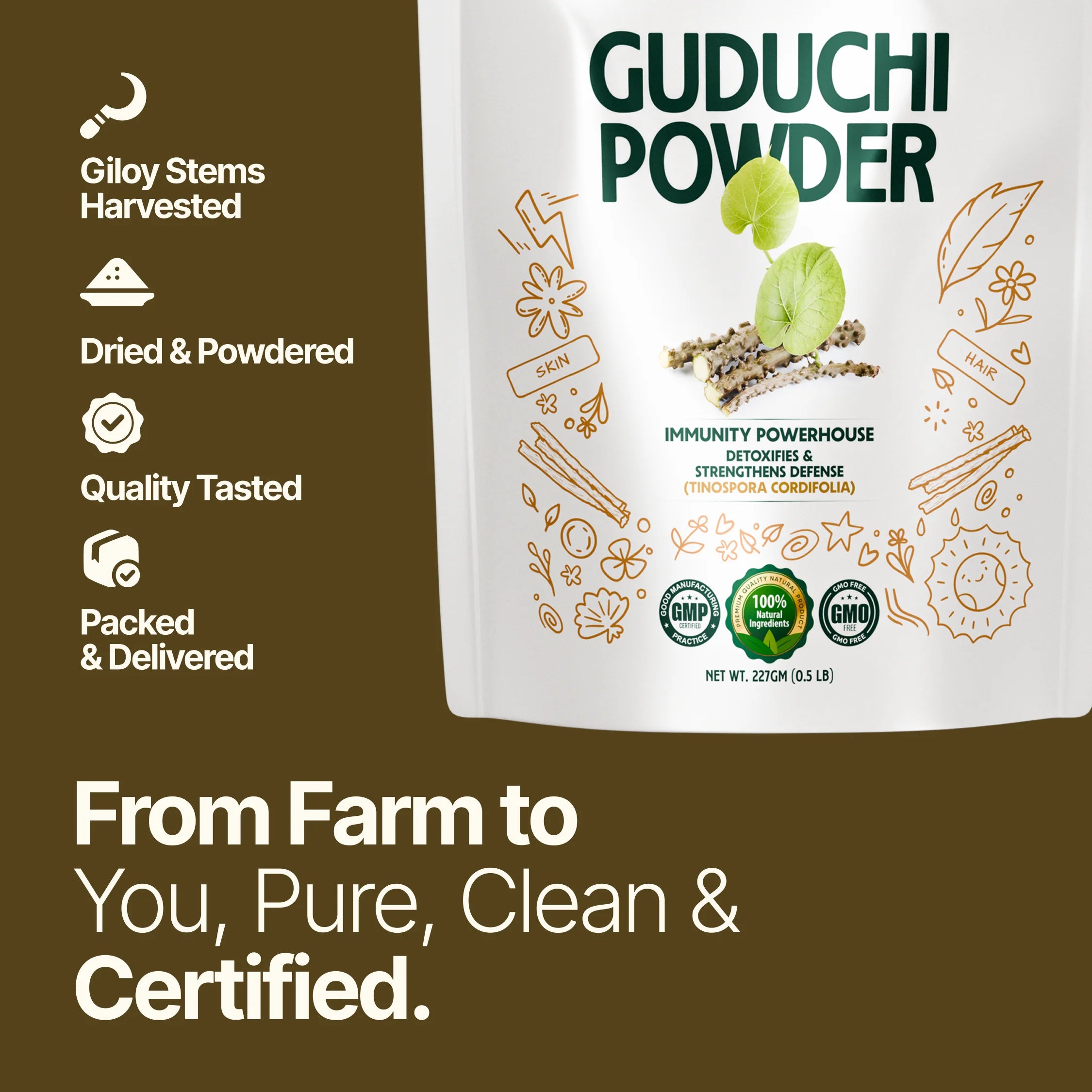 Guduchi Powder