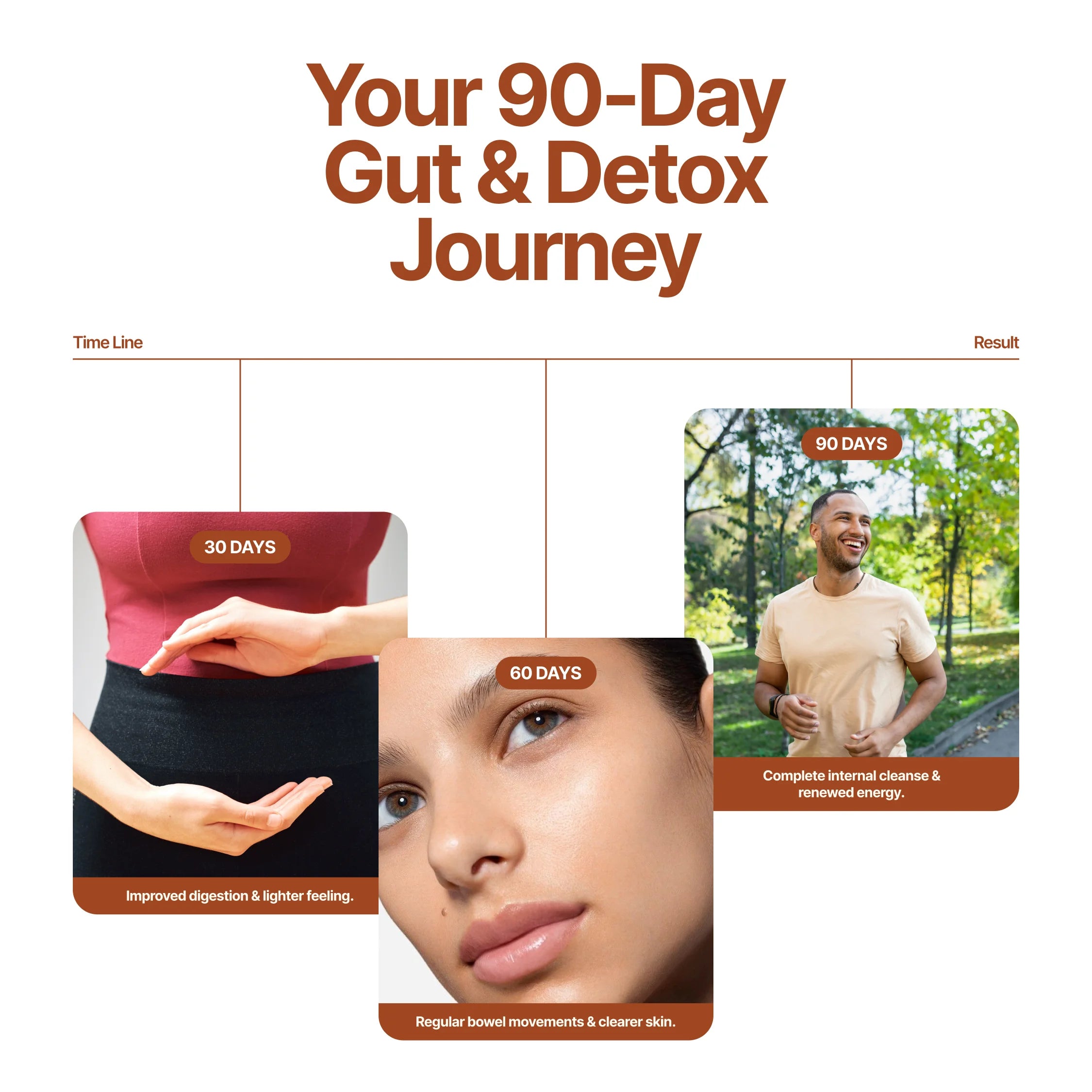 Haritaki Fruit Powder