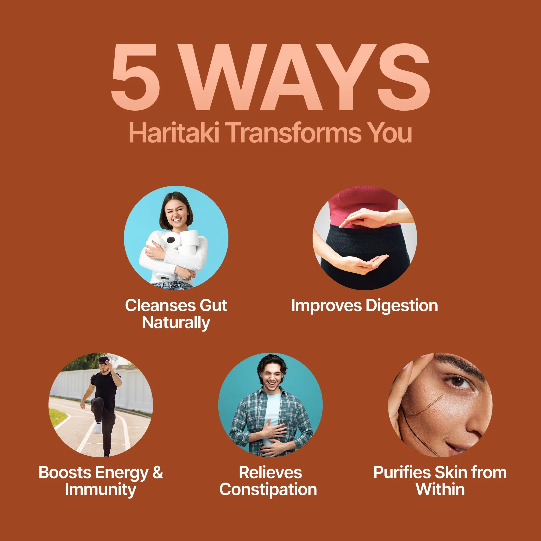 Haritaki Fruit Powder