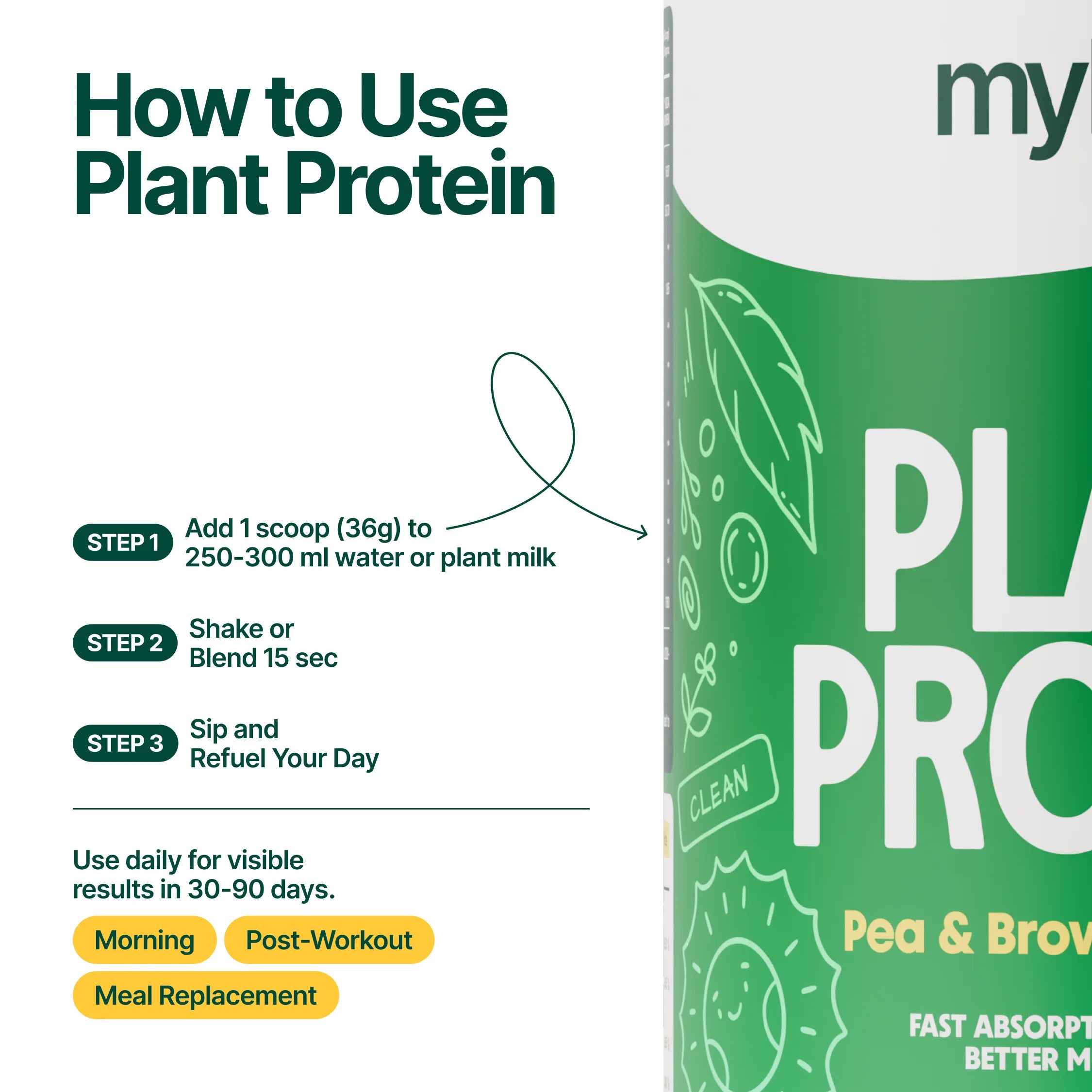 Plant Protein