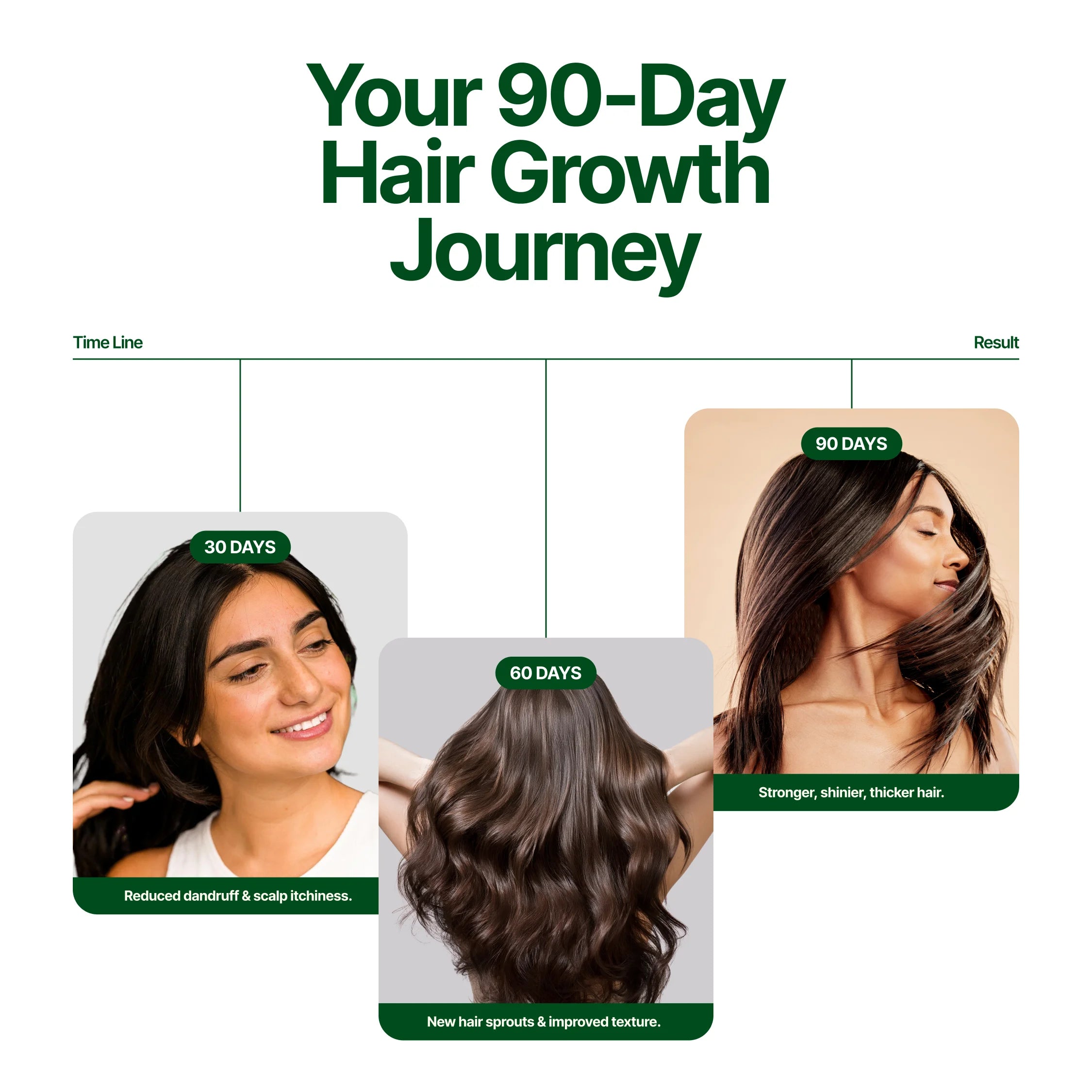 Rosemary Dried Leaves