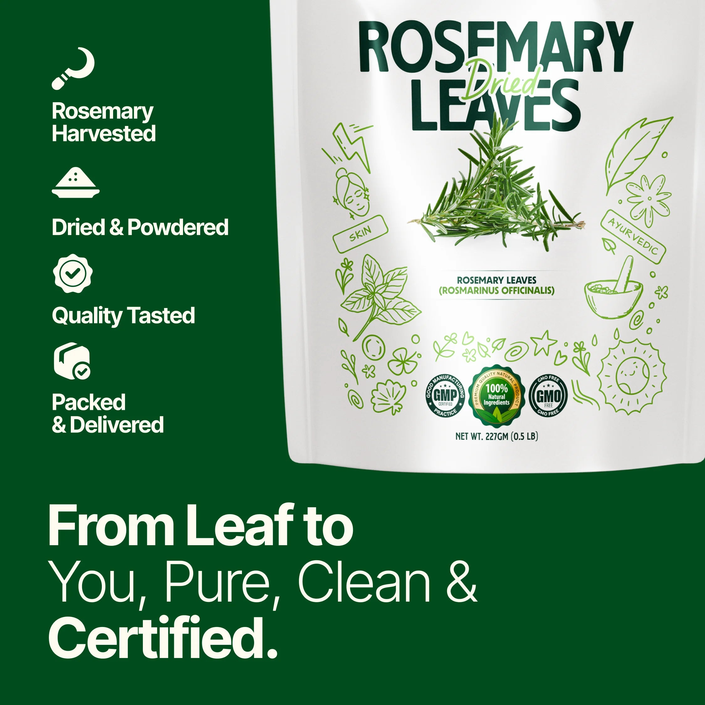 Rosemary Dried Leaves