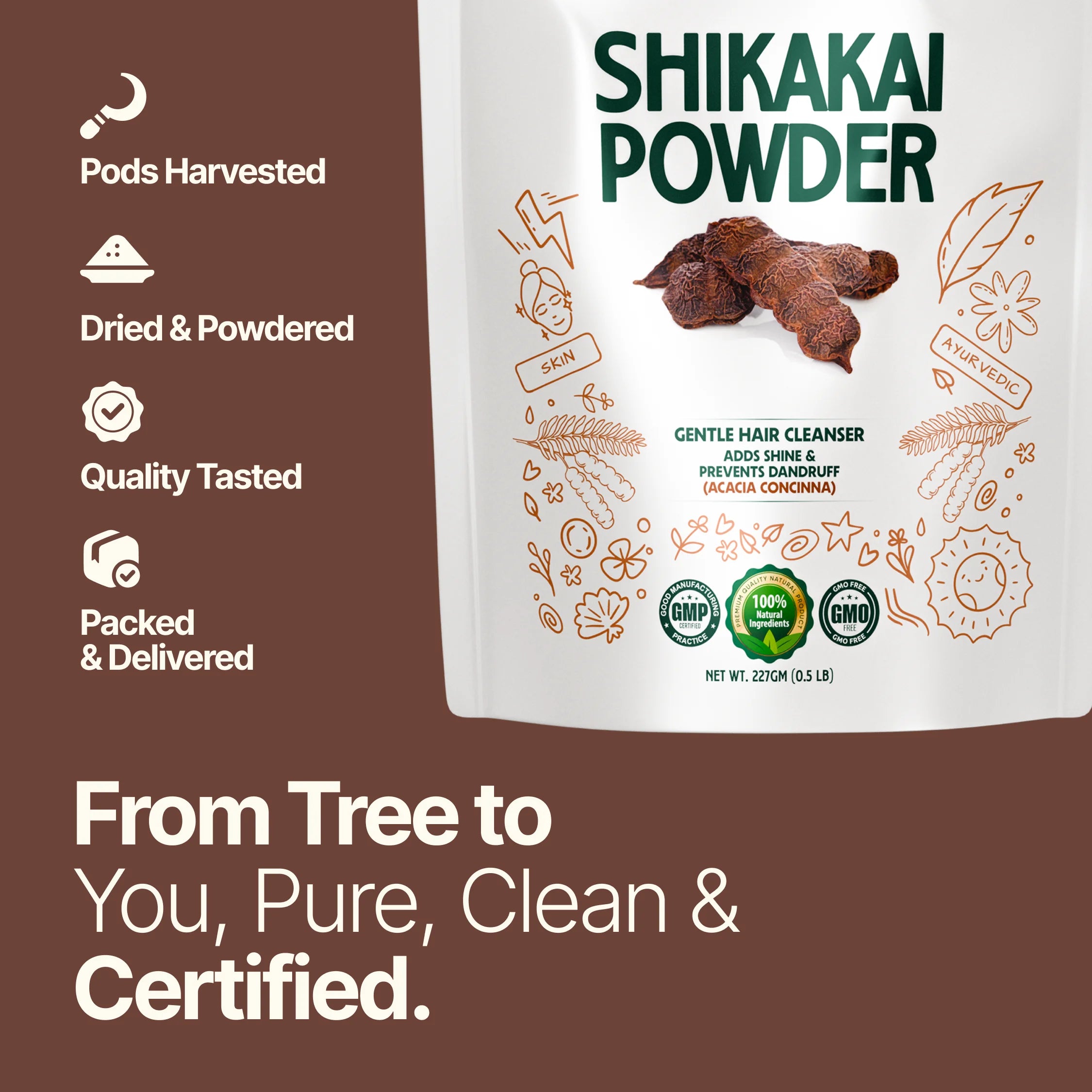 Shikakai Powder