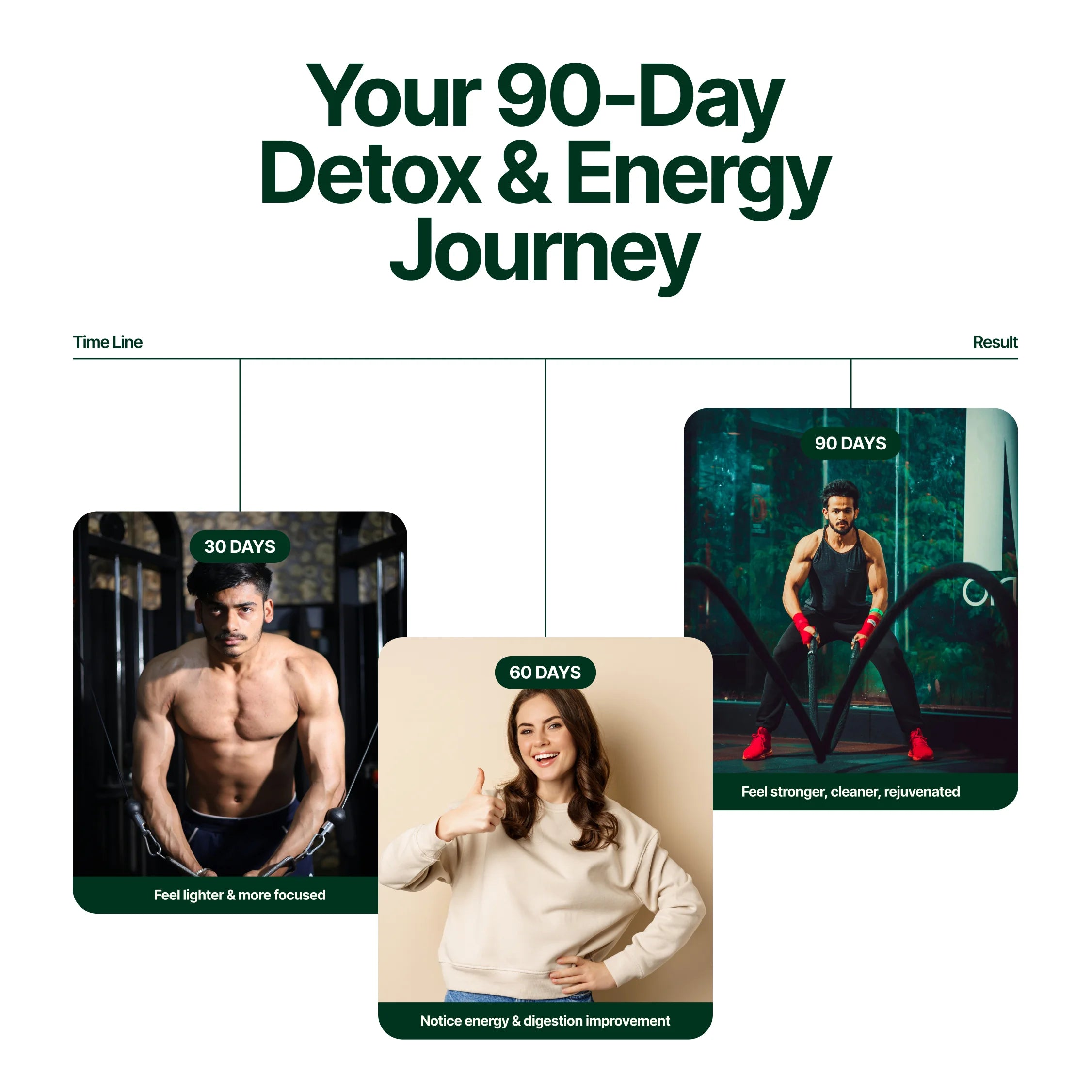 Organic Spirulina powder