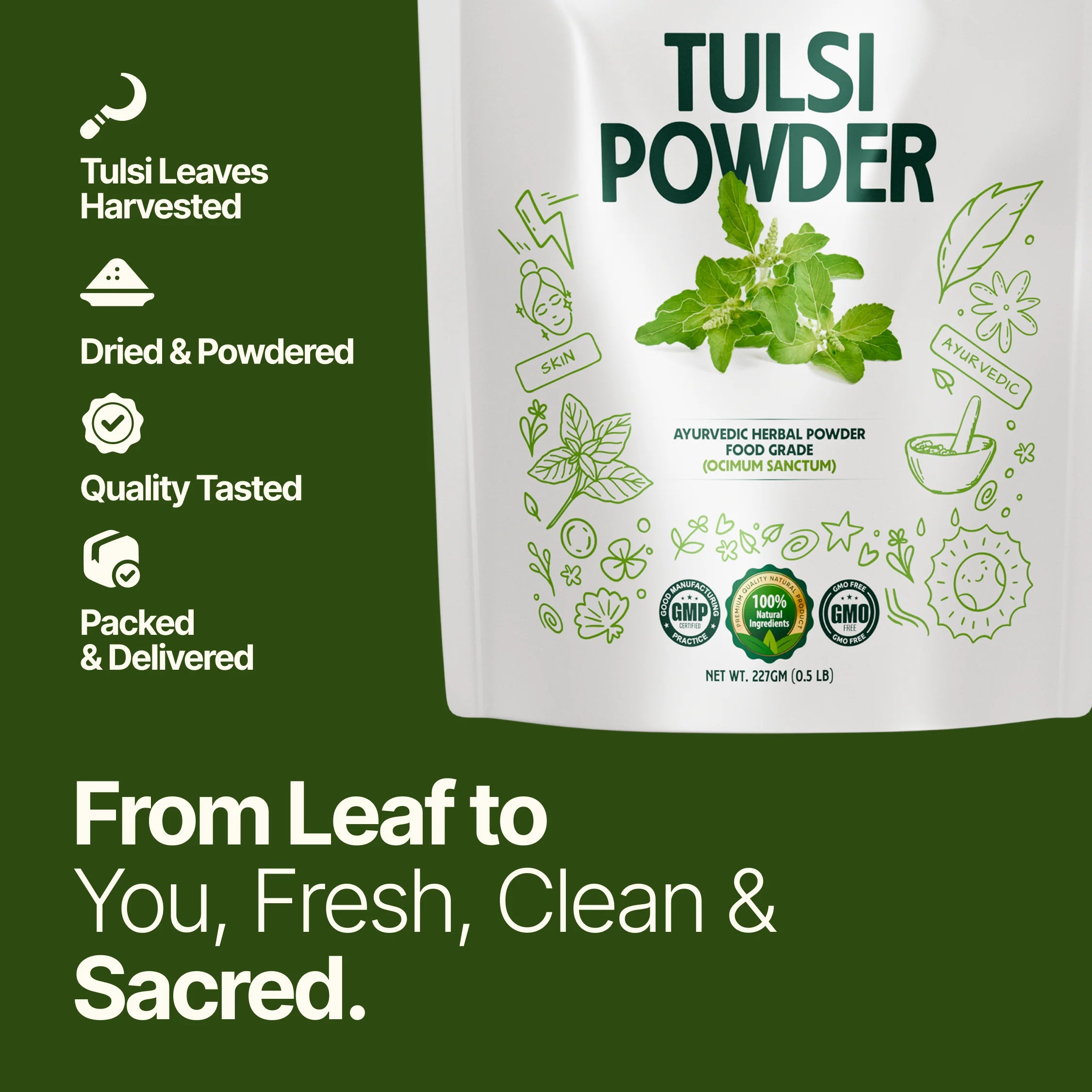 Tulsi Powder