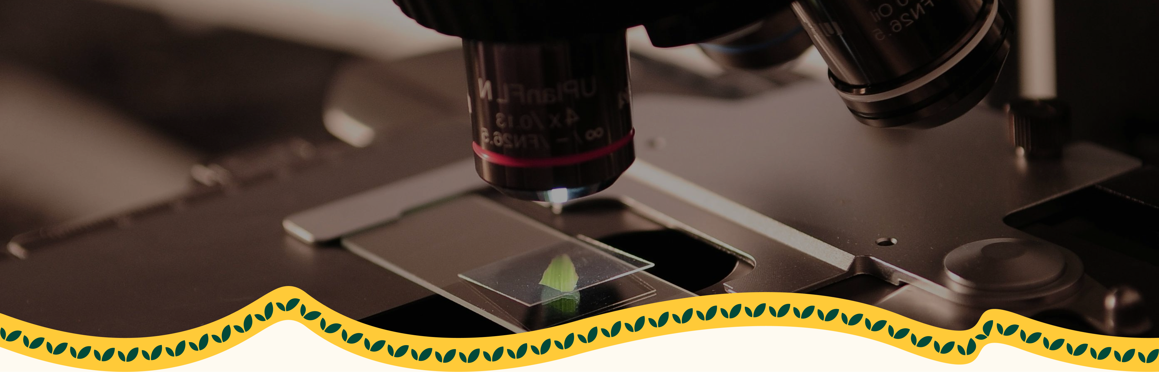 slider image slider_item_NPBYaa